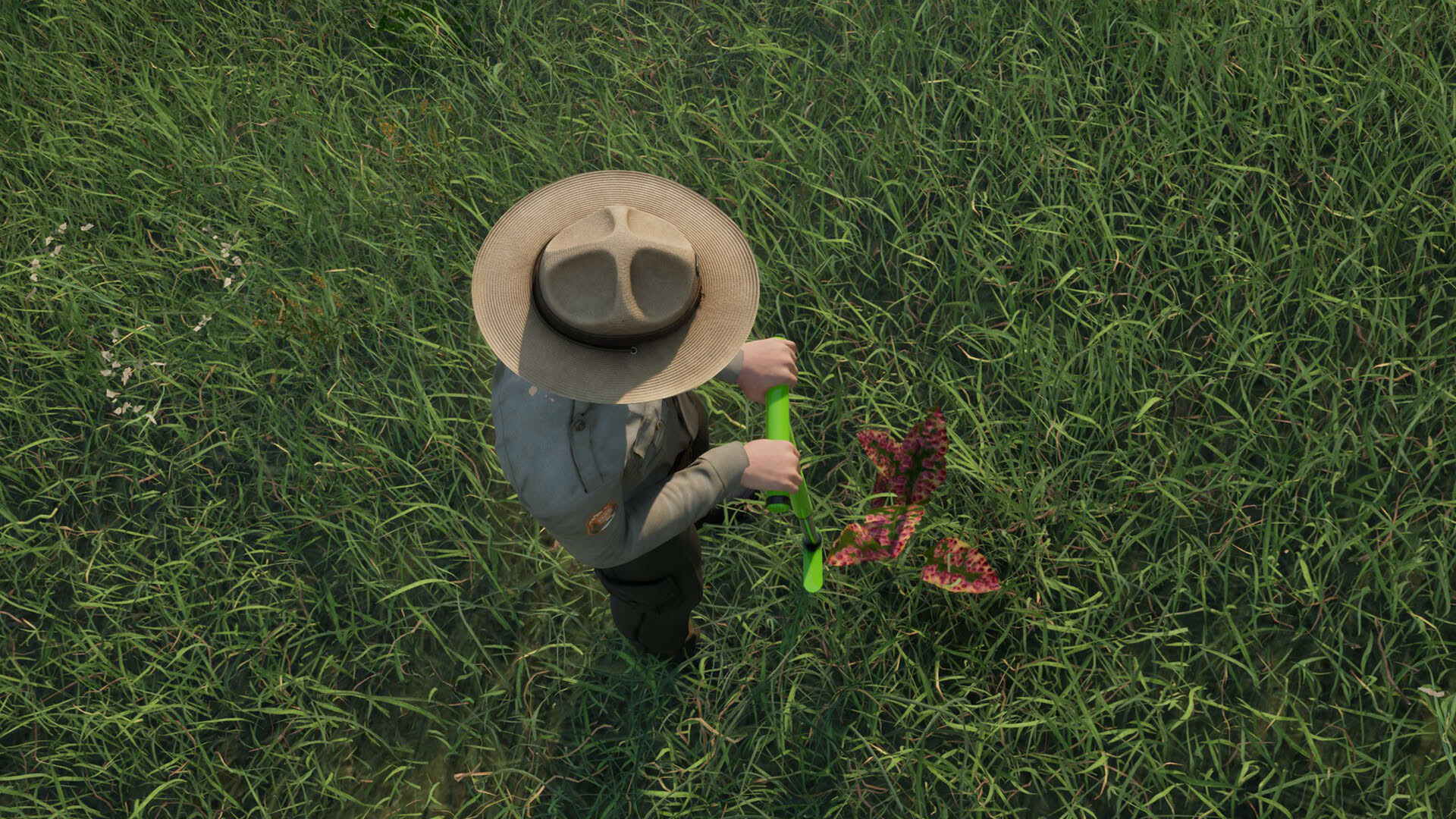 Screenshot for Ranger’s Path: National Park Simulator