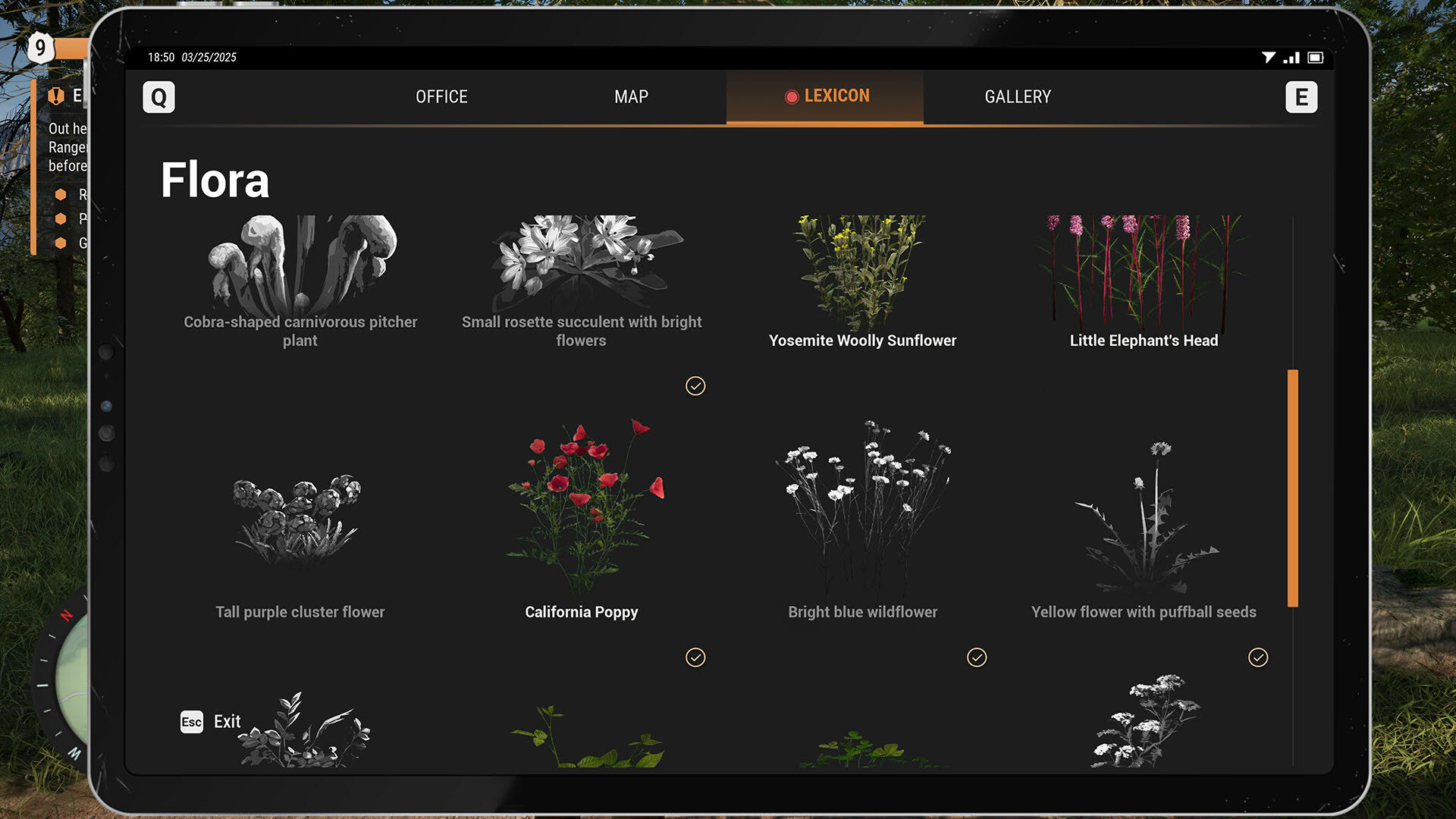 Screenshot for Ranger’s Path: National Park Simulator