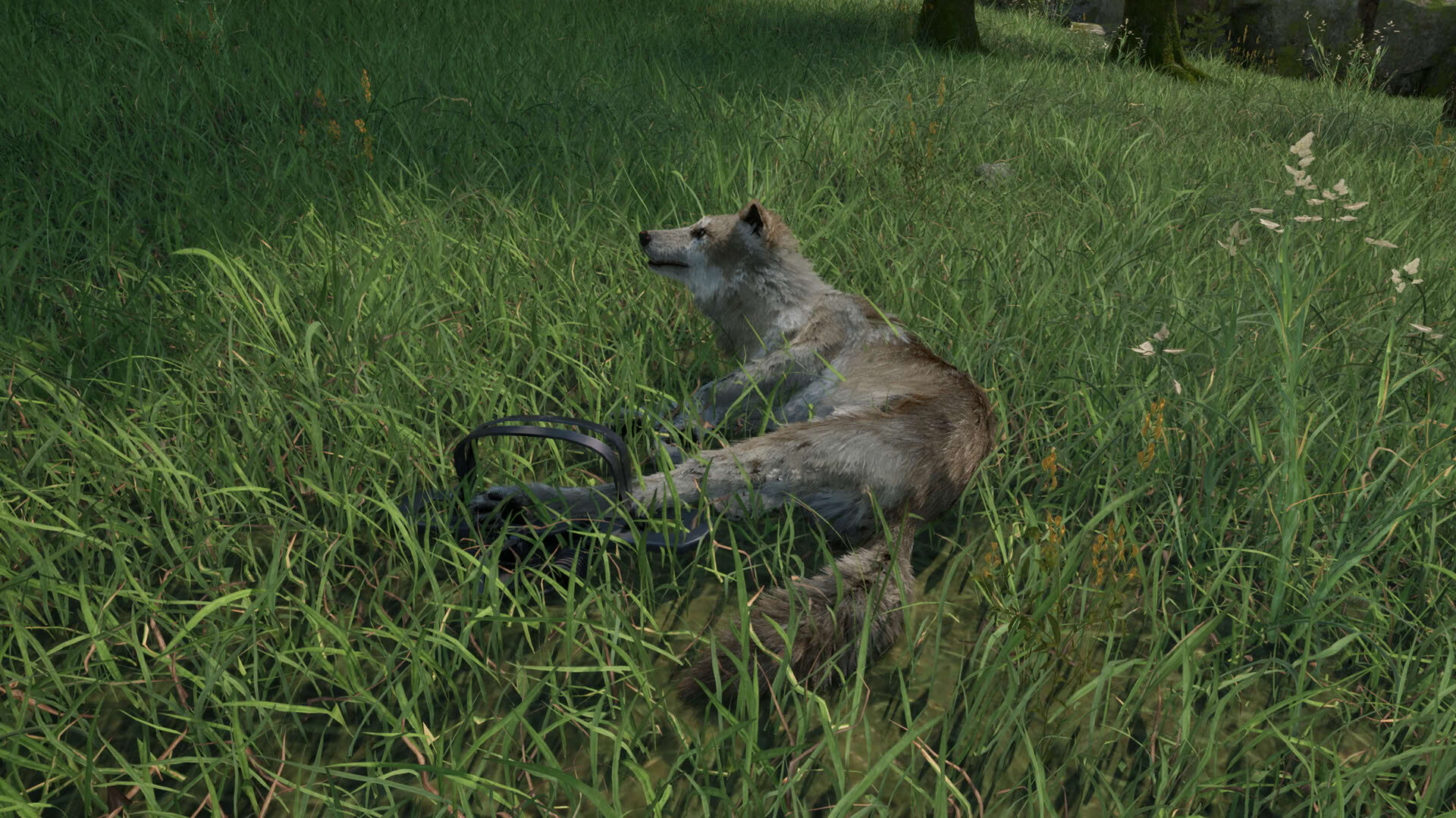 Screenshot for Ranger’s Path: National Park Simulator