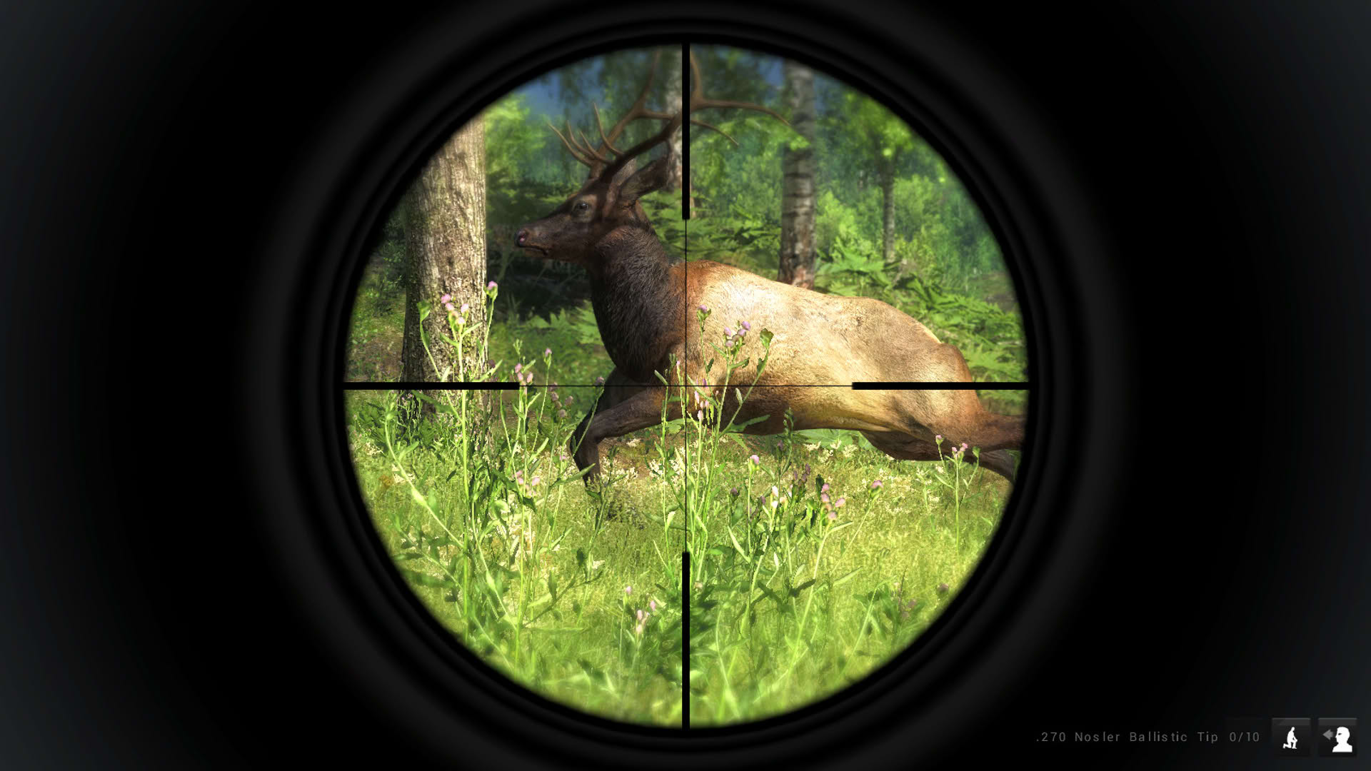 Screenshot for TheHunter Classic