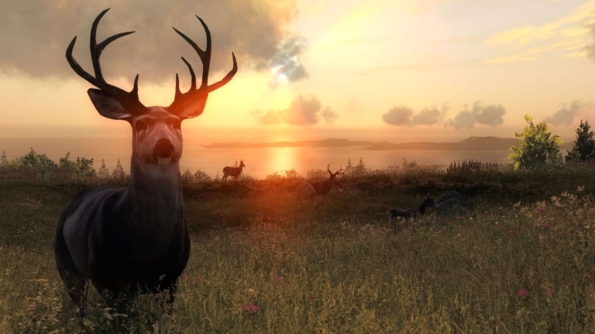 Screenshot for TheHunter Classic