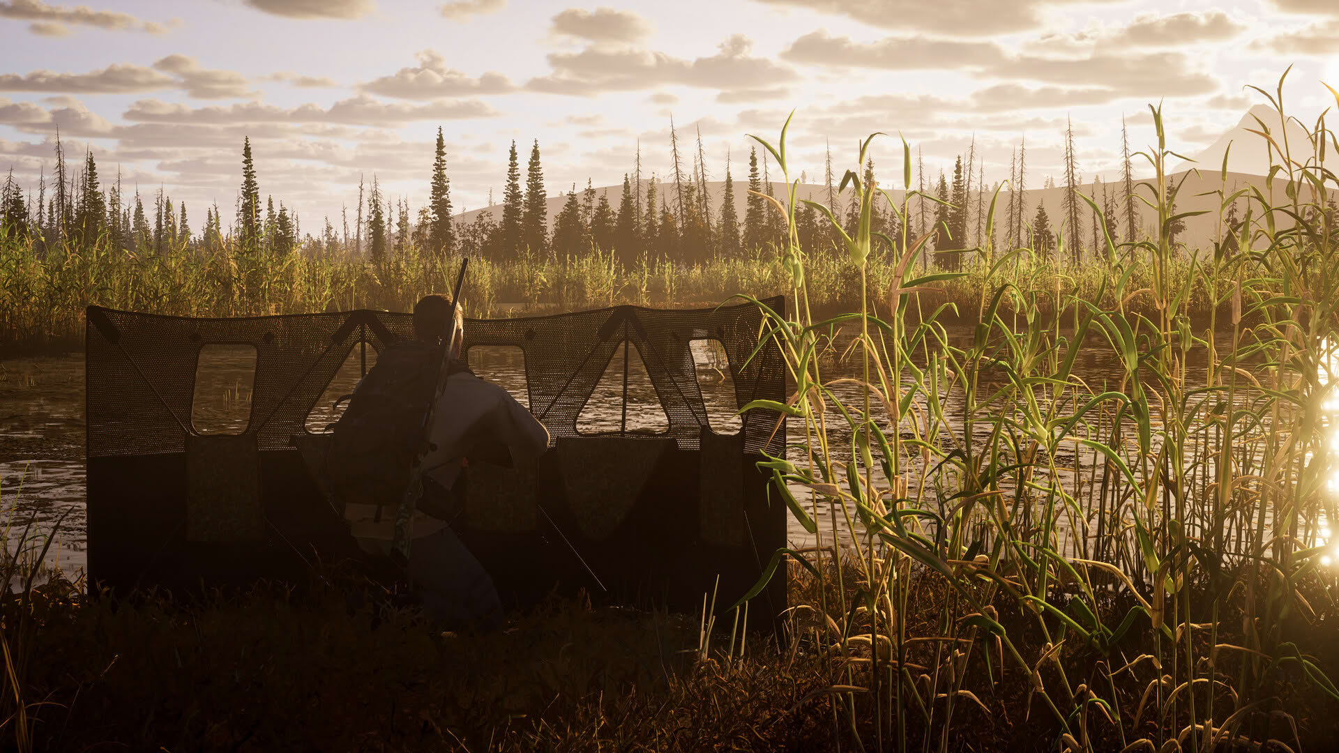 Screenshot for Way of the Hunter 2