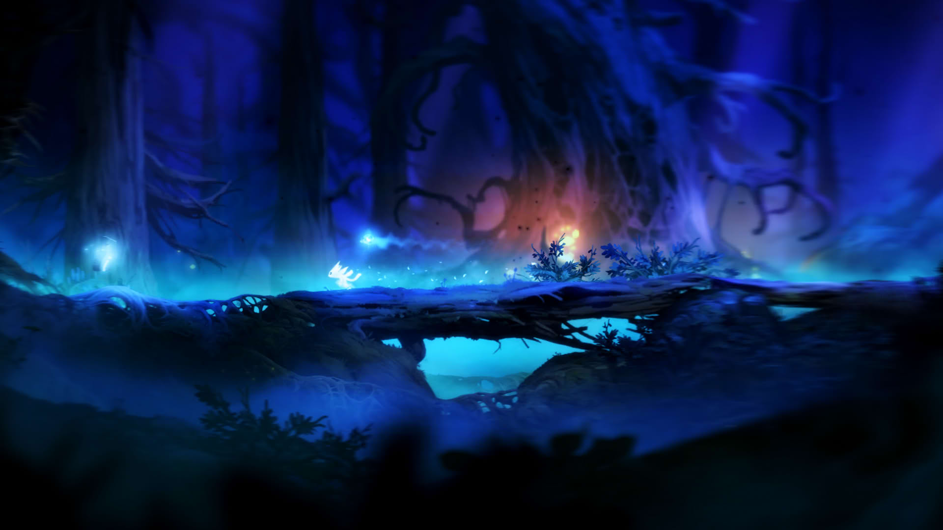 Screenshot for Ori and the Blind Forest