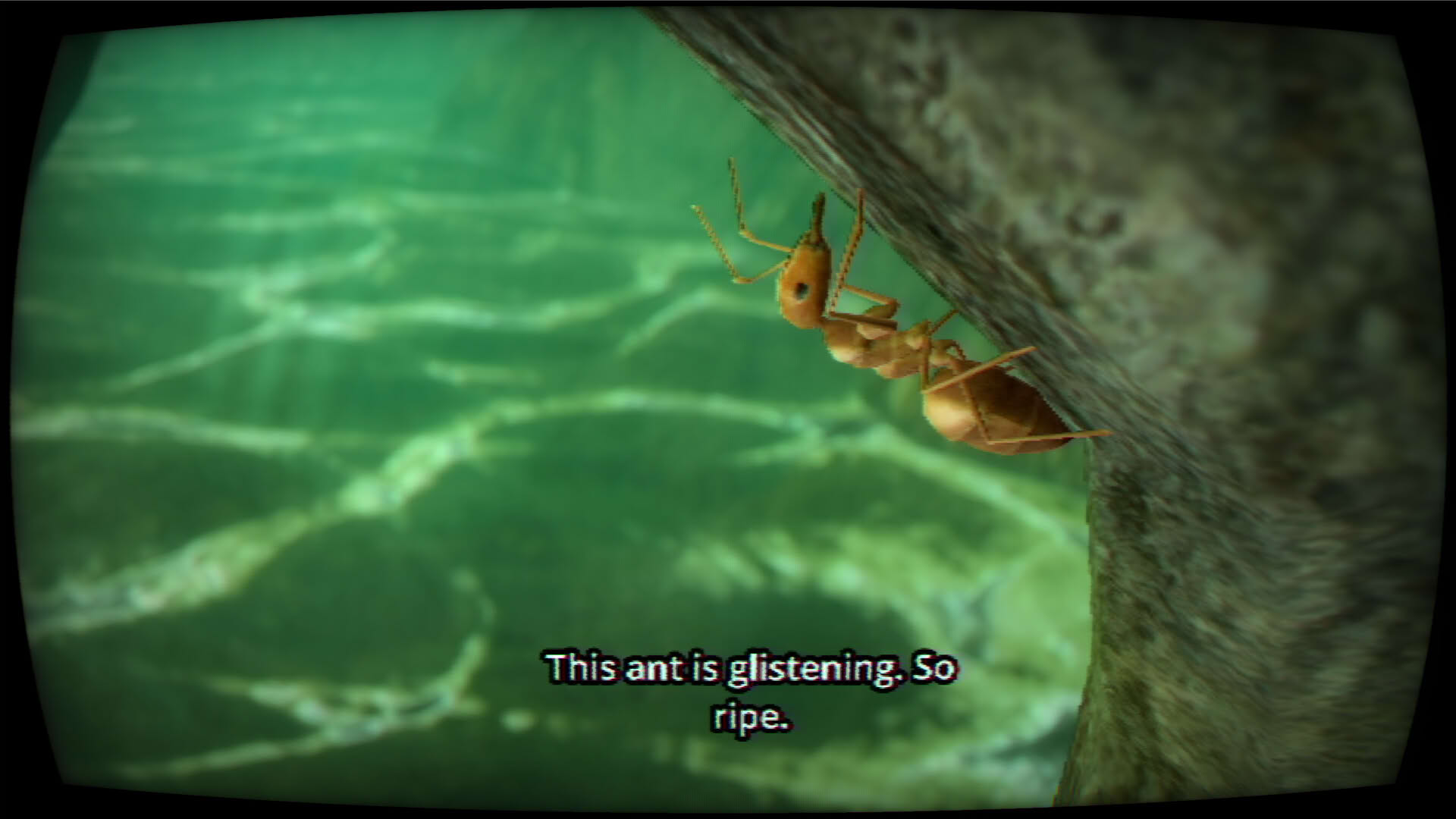 Screenshot for Eating Nature