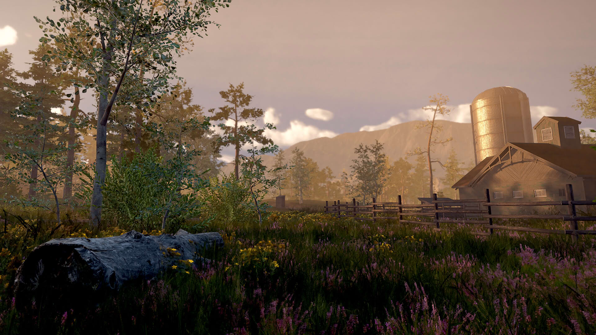 Screenshot for Rancher: A New Life