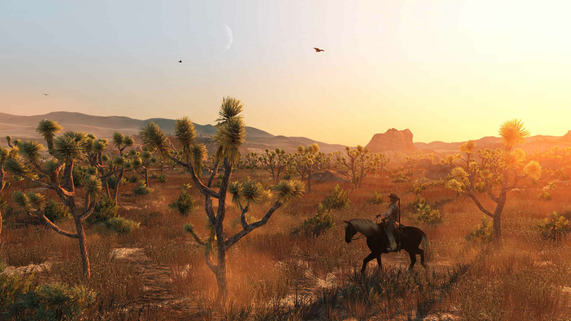 Screenshot for Red Dead Redemption