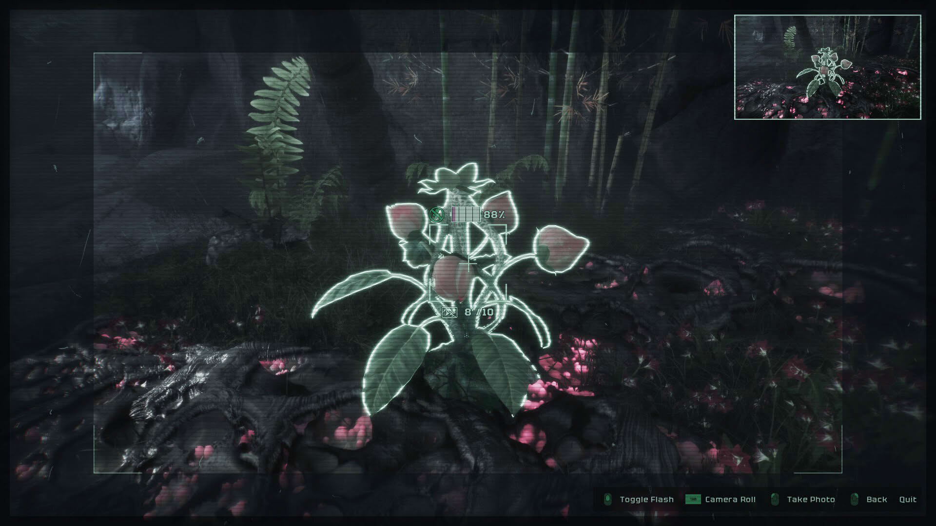Screenshot for Wilderdark
