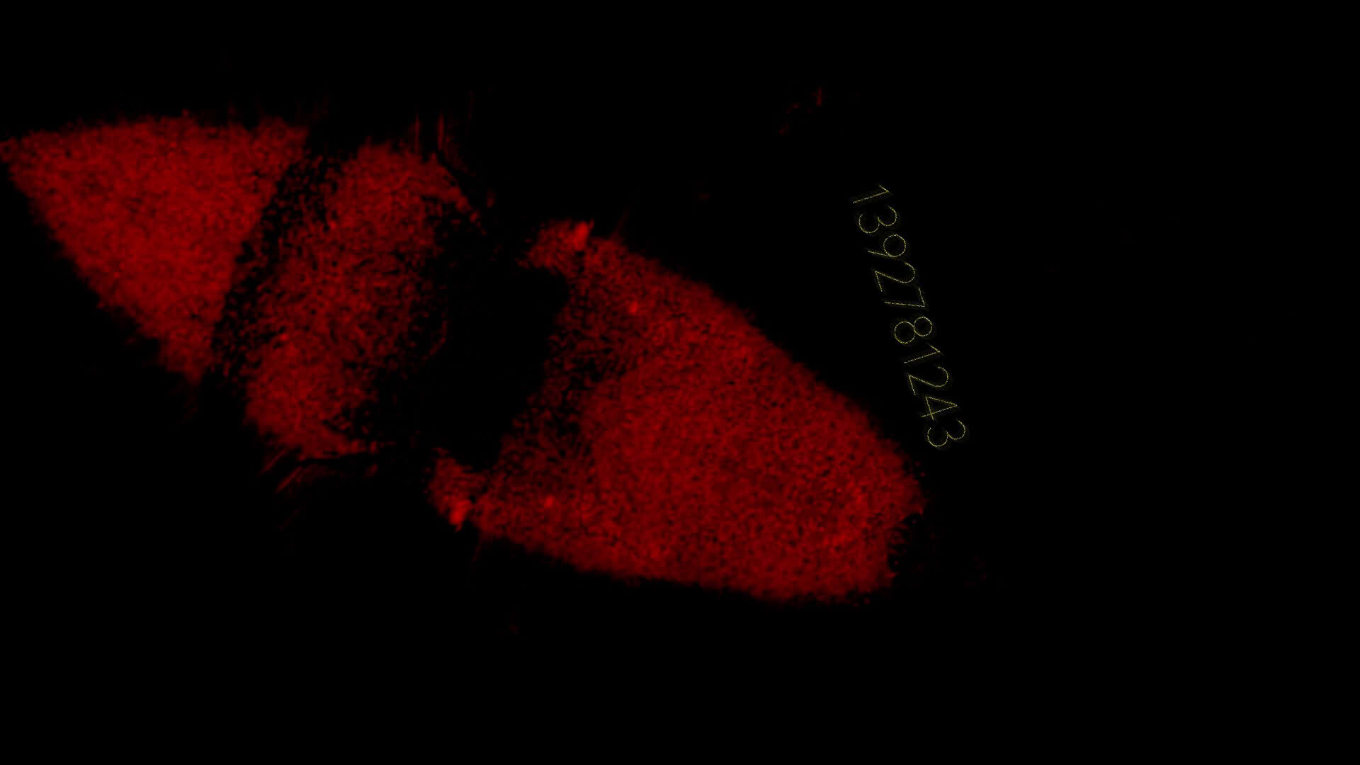 Screenshot for Precognition