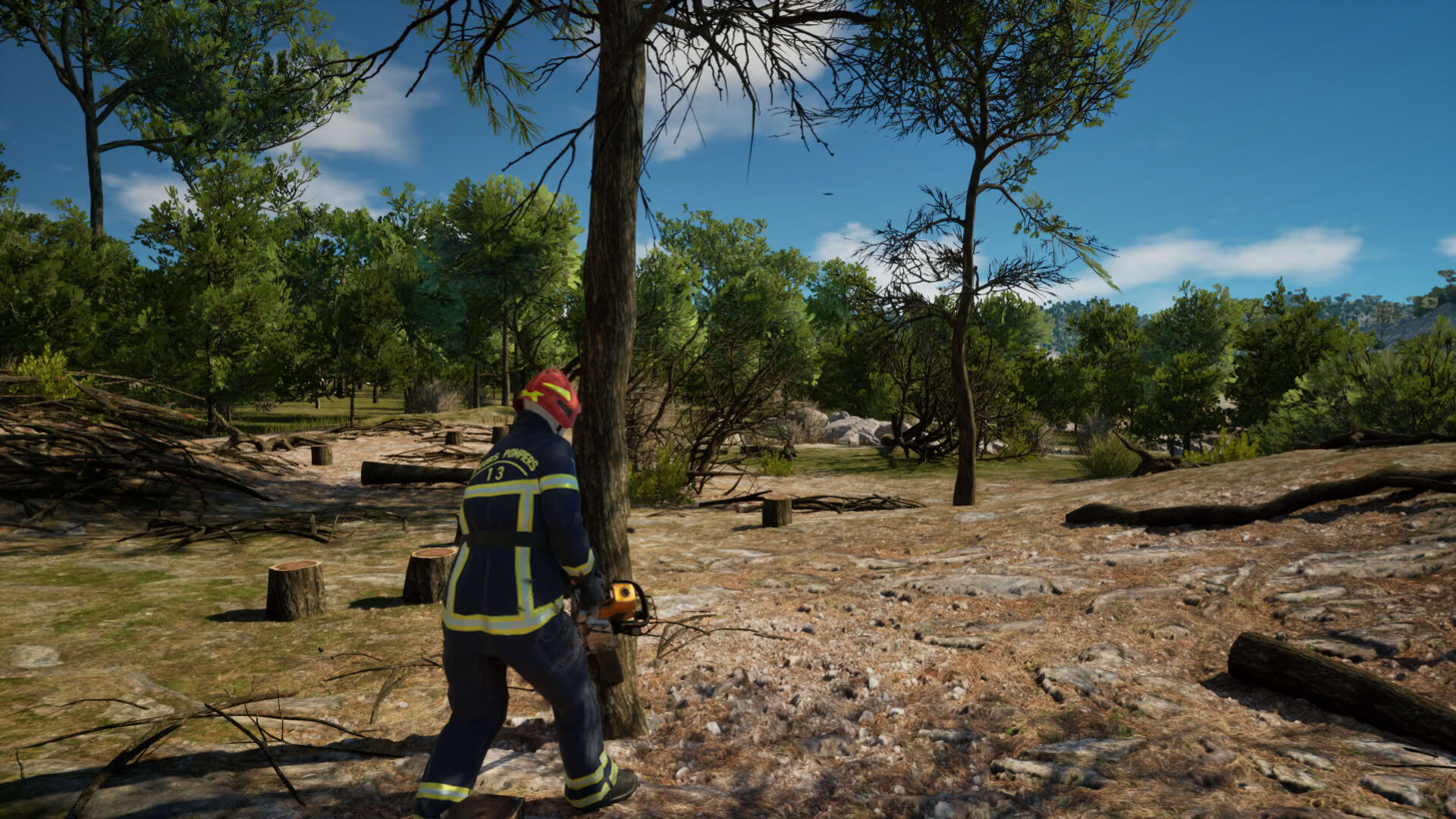 Screenshot for Rescue Ops: Wildfire