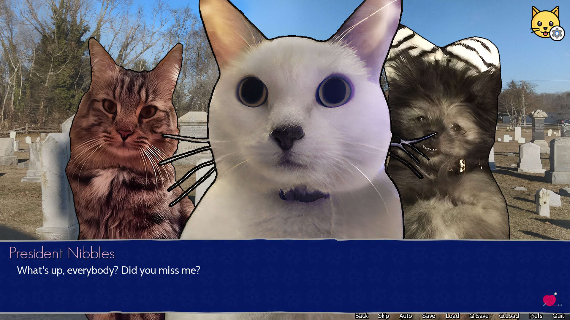 Screenshot for Cat President: 3rd-Rate Candidate