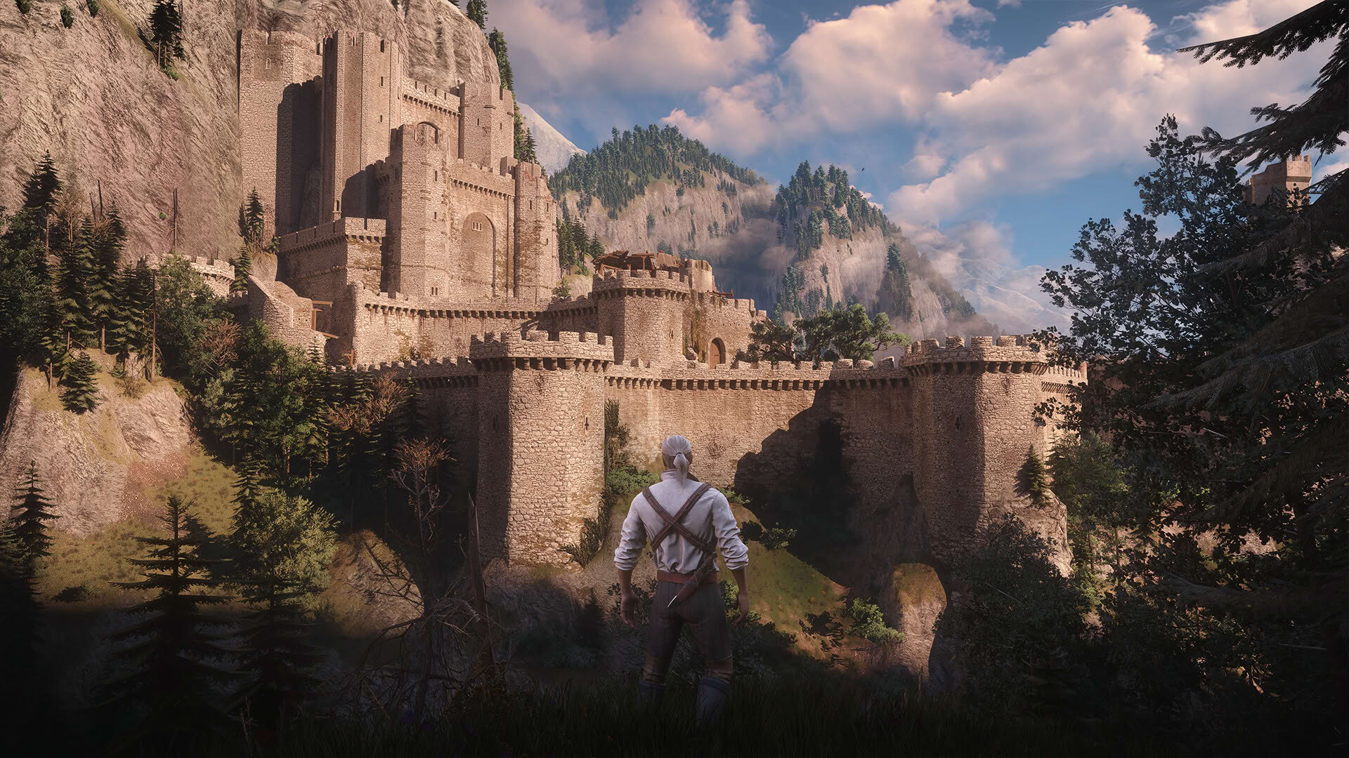 Screenshot for The Witcher 3: Wild Hunt