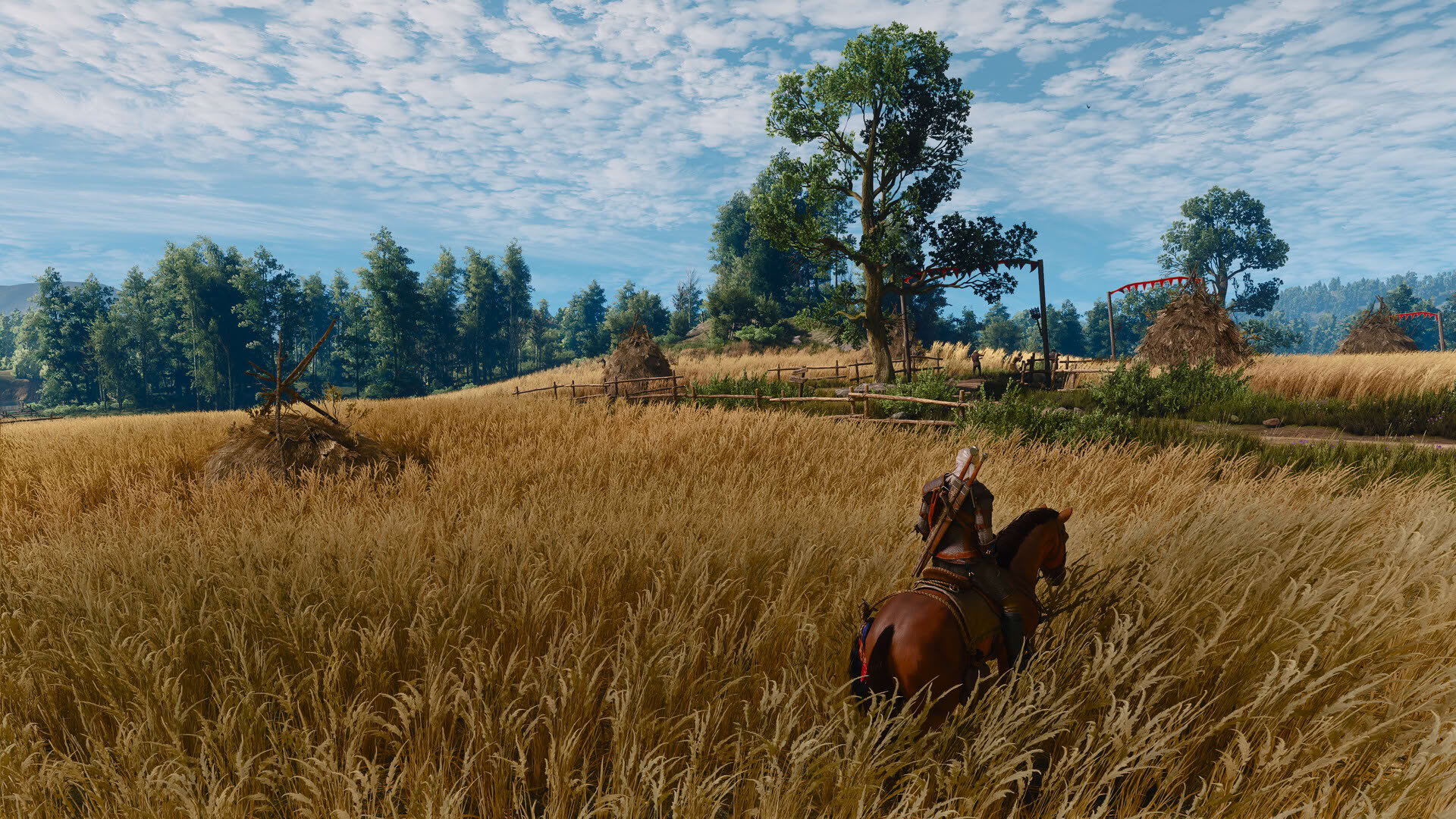 Screenshot for The Witcher 3: Wild Hunt