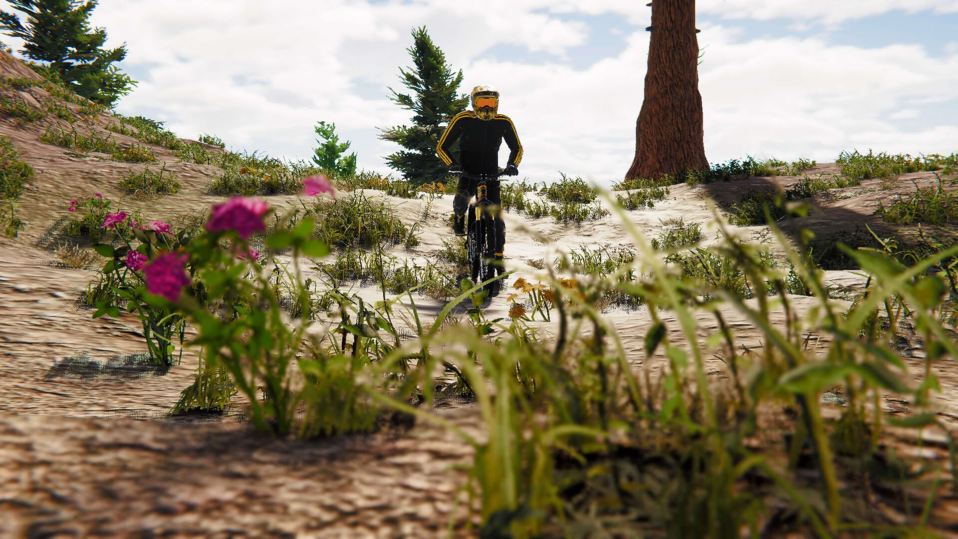 Screenshot for BMX Wild Run