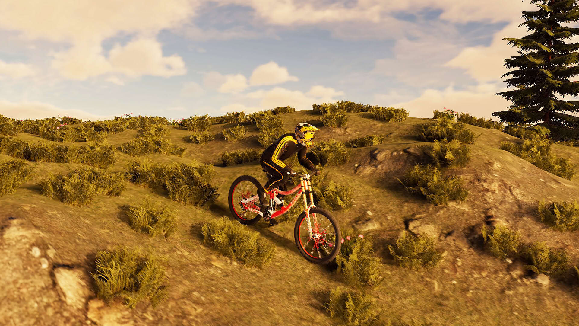 Screenshot for BMX Wild Run