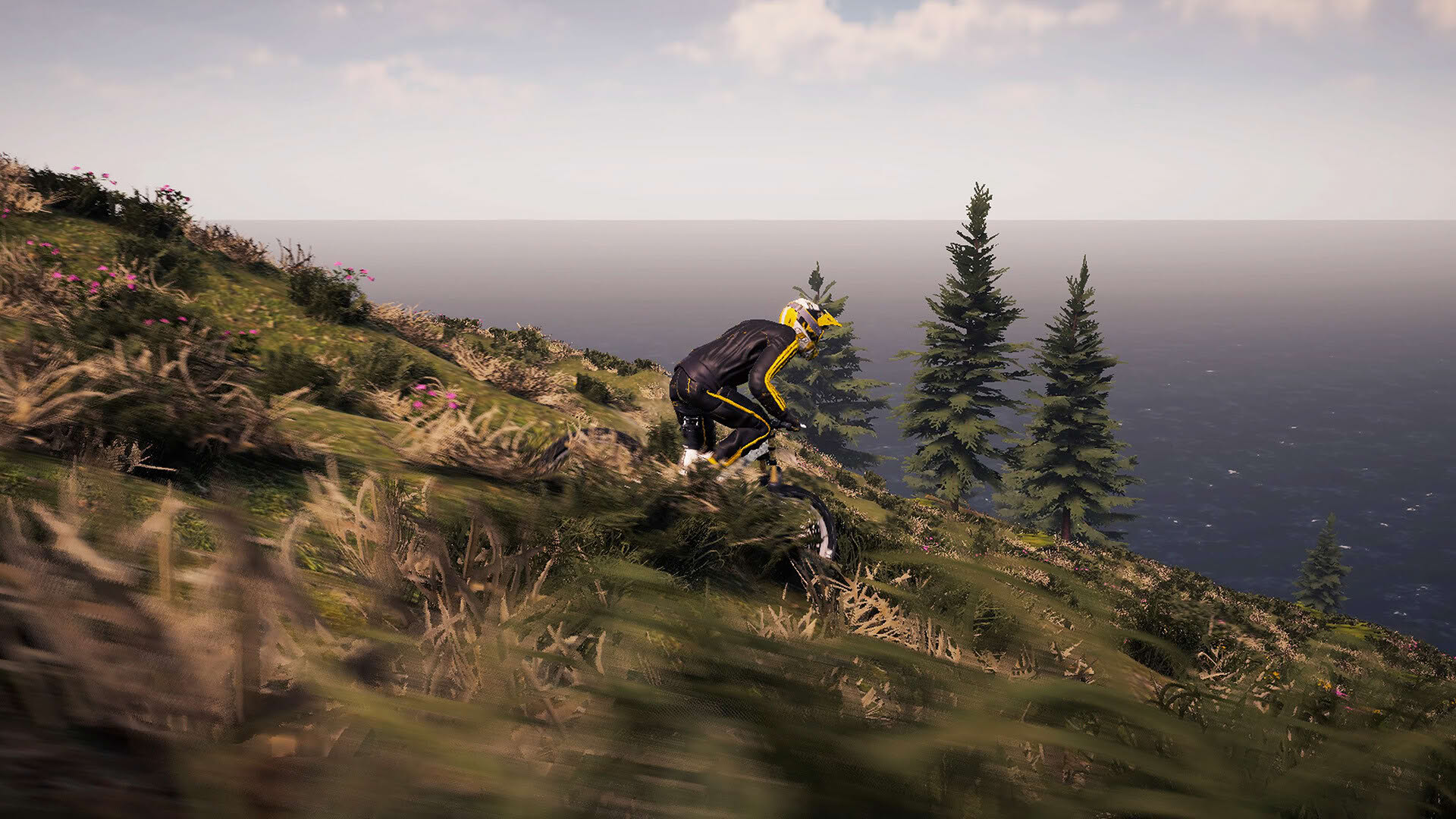 Screenshot for BMX Wild Run