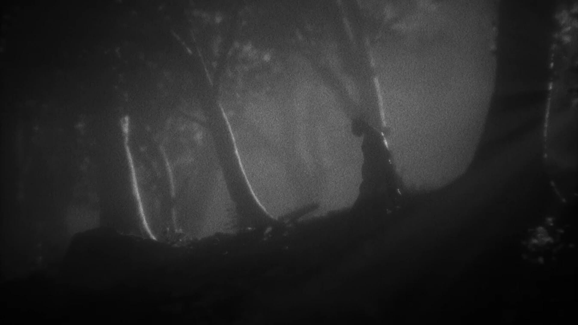 Screenshot for Daemonologie