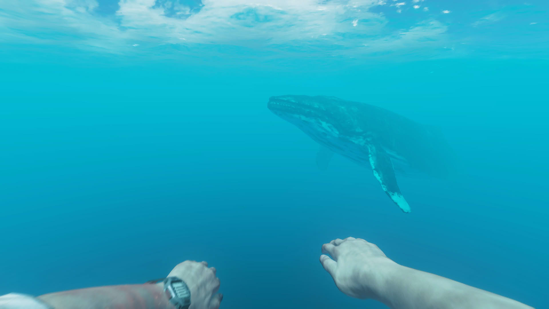 Screenshot for Stranded Deep