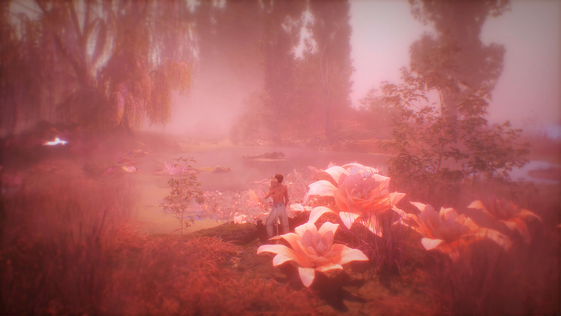 Screenshot for Graft