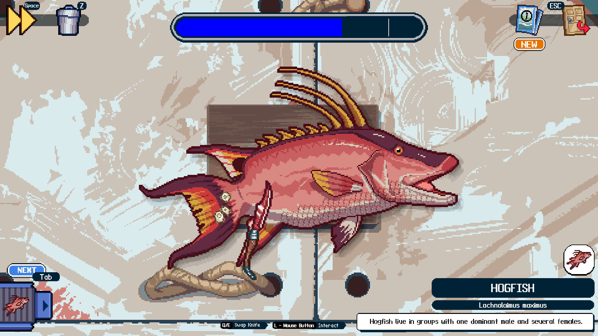 Screenshot for Scale the Depths