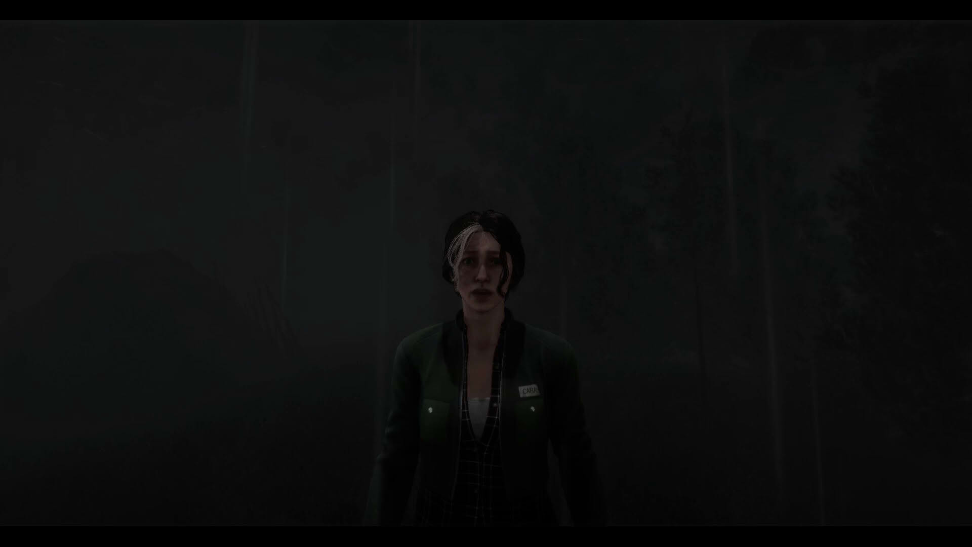 Screenshot for The Disappearance of Emily Crowe