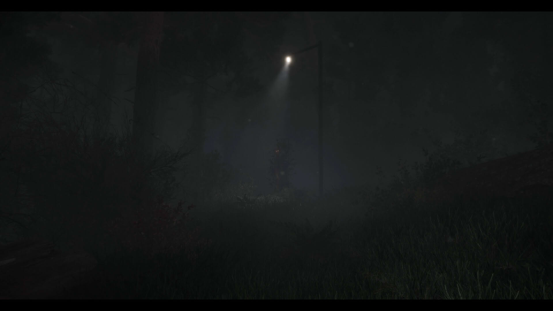 Screenshot for The Disappearance of Emily Crowe