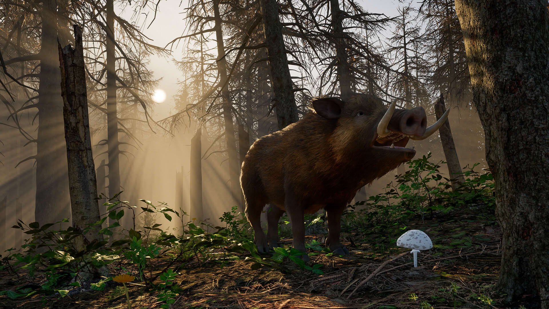 Screenshot for Wild Terrain