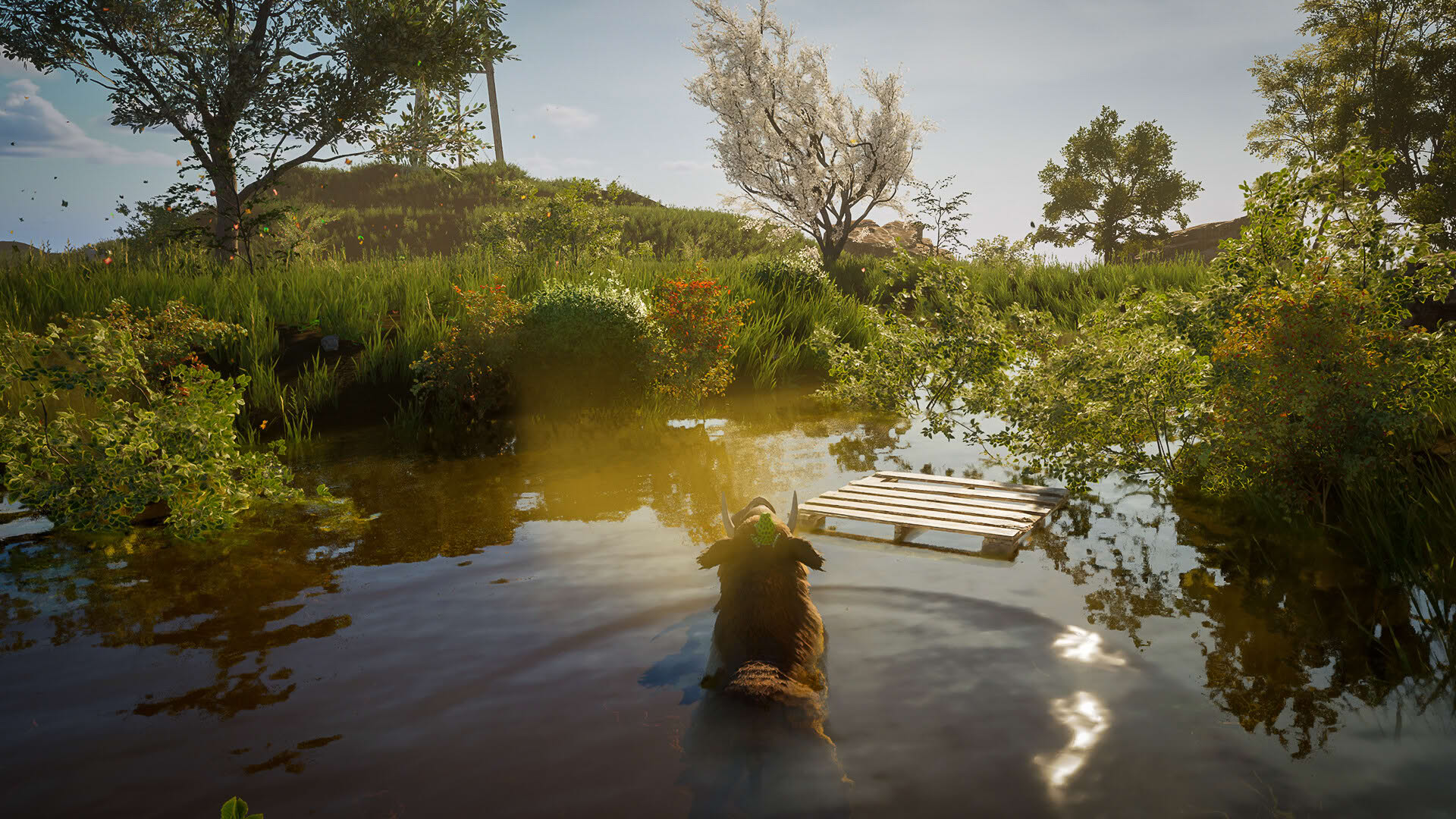 Screenshot for Wild Terrain