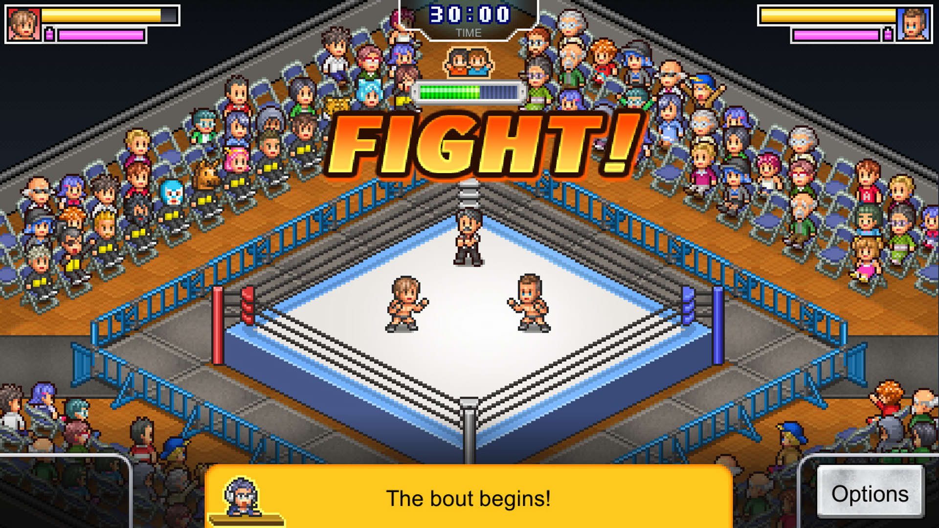 Screenshot for Pro Wrestler Story