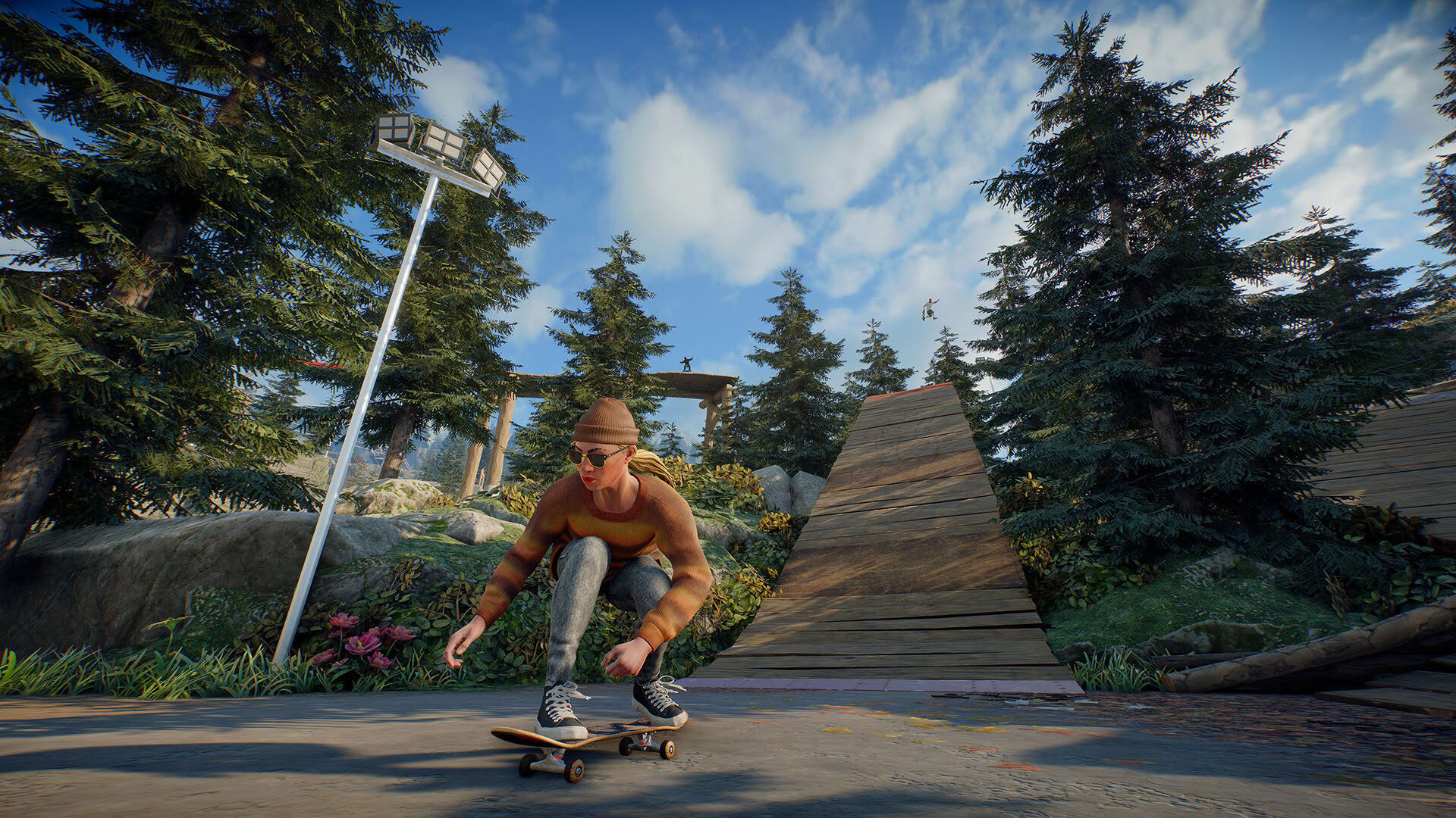 Screenshot for Skate.