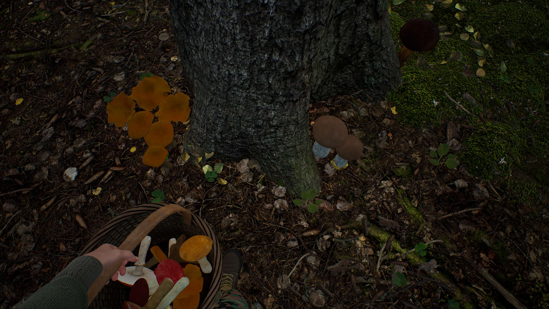Screenshot for Mushroom Hunter Simulator