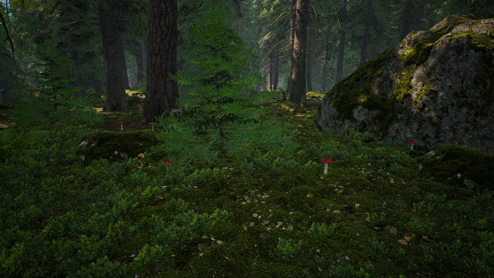 Screenshot for Mushroom Hunter Simulator