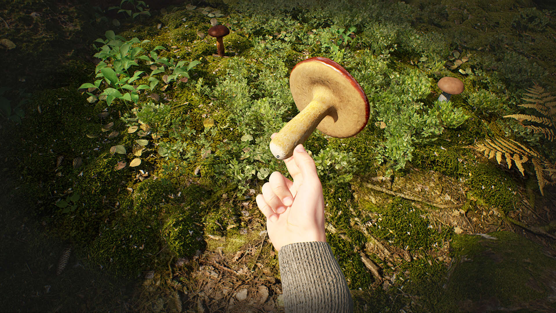 Screenshot for Mushroom Hunter Simulator