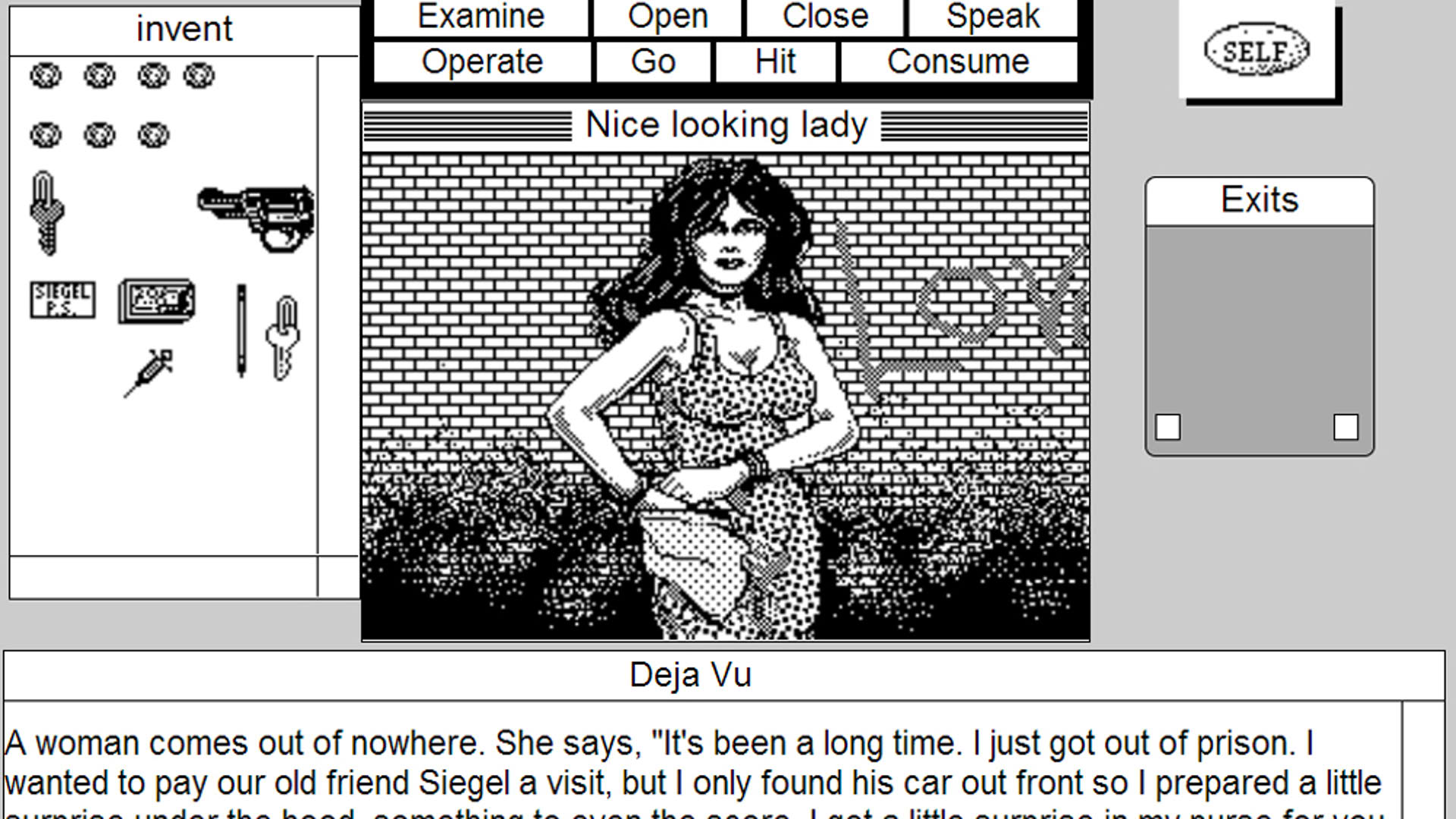 Screenshot for Deja Vu: MacVenture Series