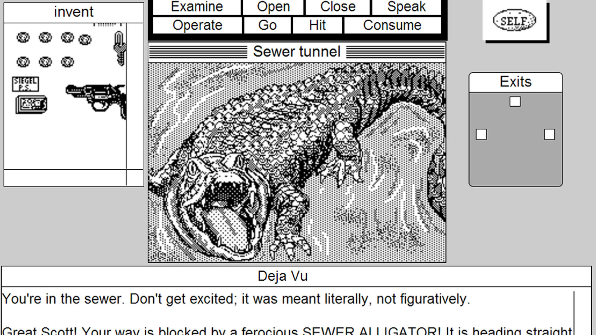 Screenshot for Deja Vu: MacVenture Series
