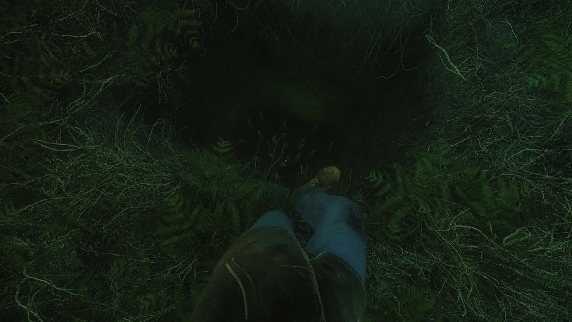 Screenshot for The Cursed Forest
