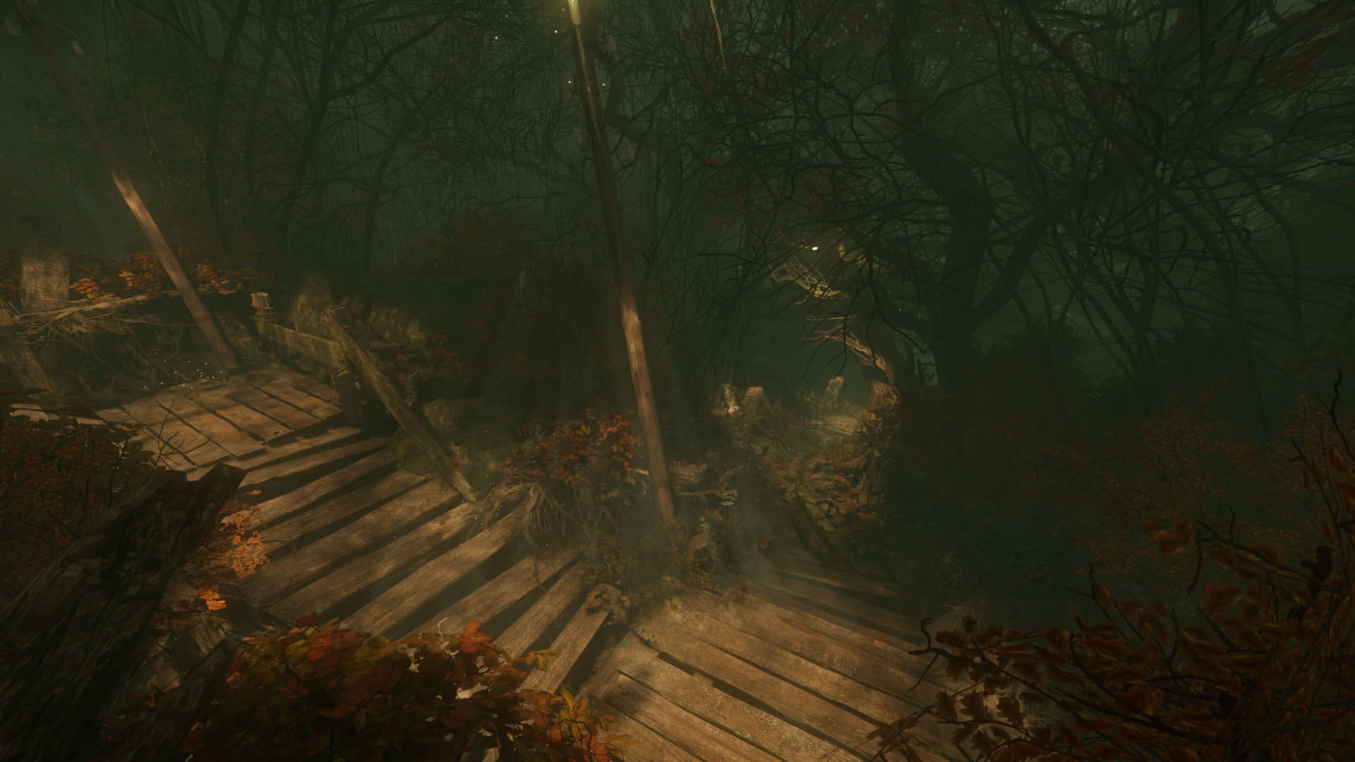 Screenshot for The Cursed Forest