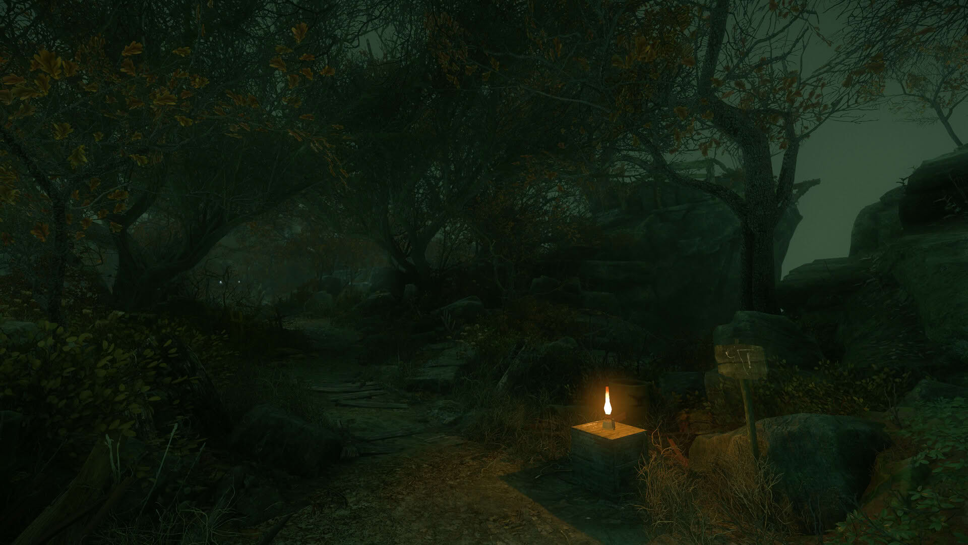 Screenshot for The Cursed Forest
