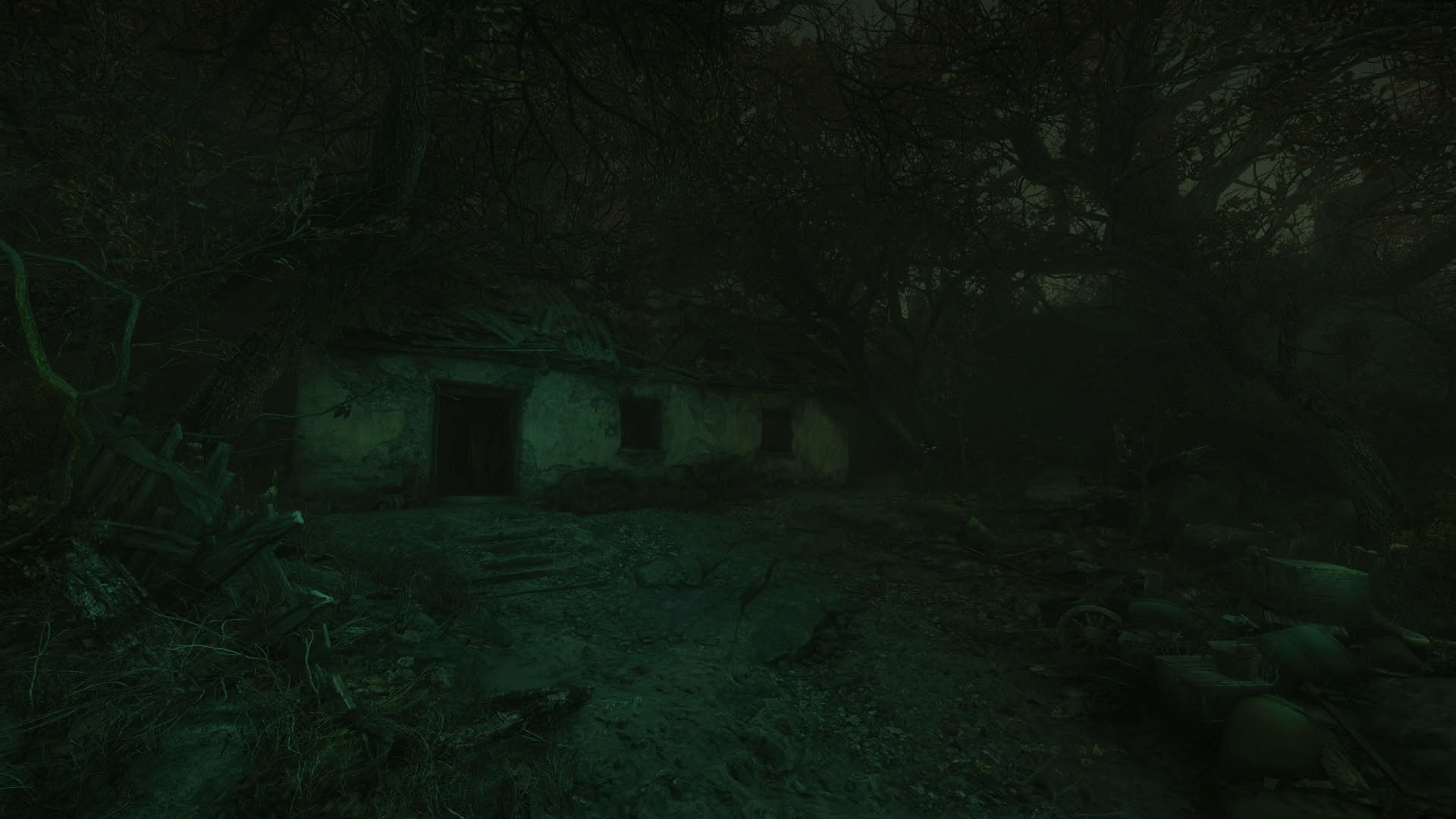 Screenshot for The Cursed Forest