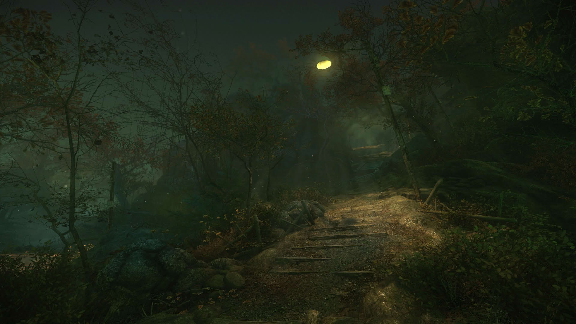 Screenshot for The Cursed Forest