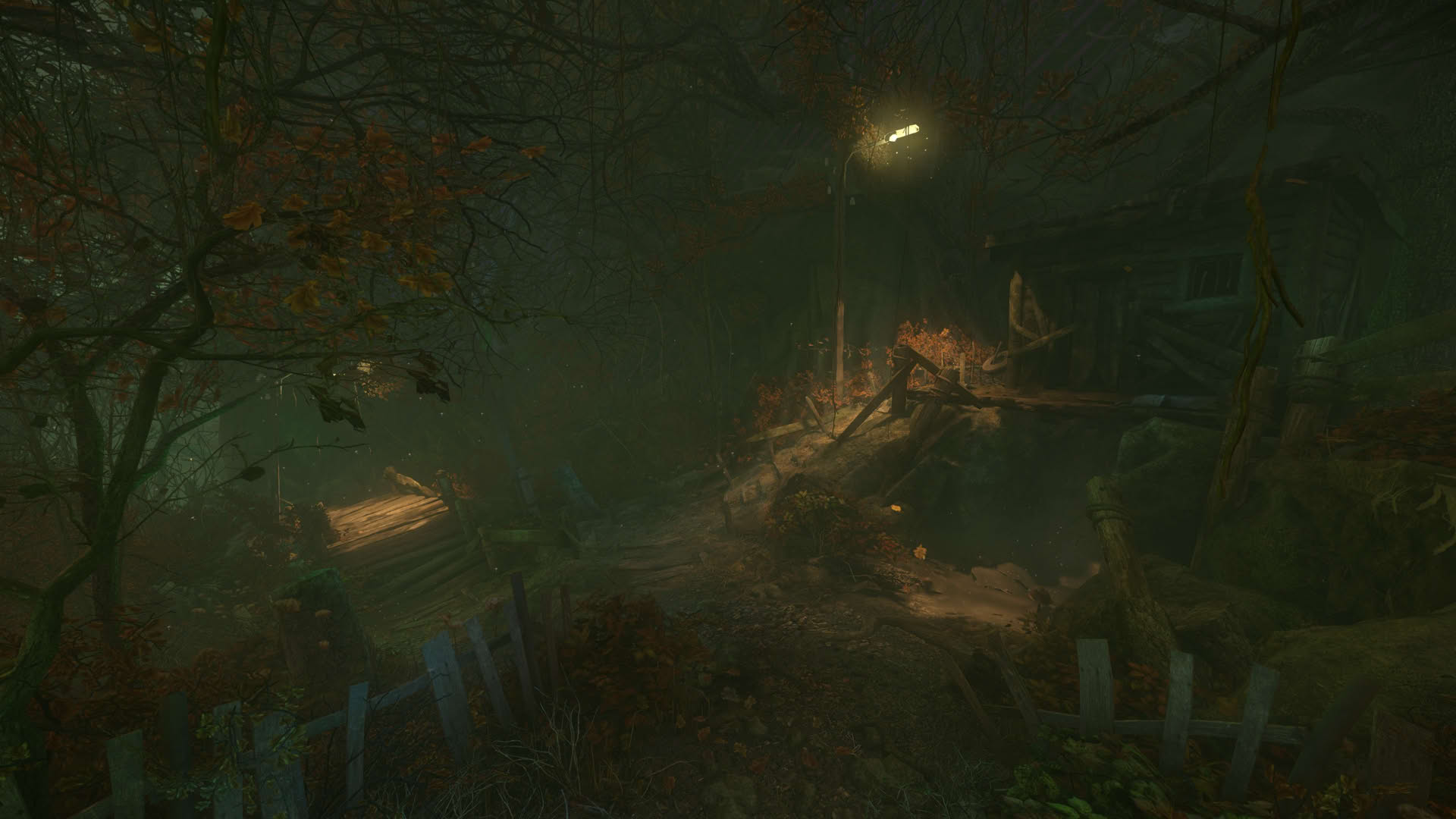 Screenshot for The Cursed Forest