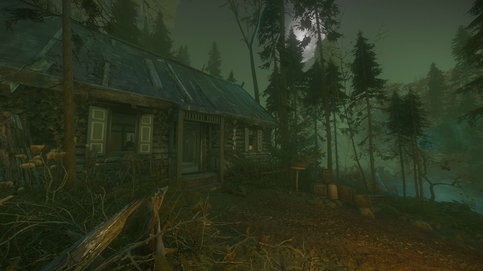 Screenshot for The Cursed Forest