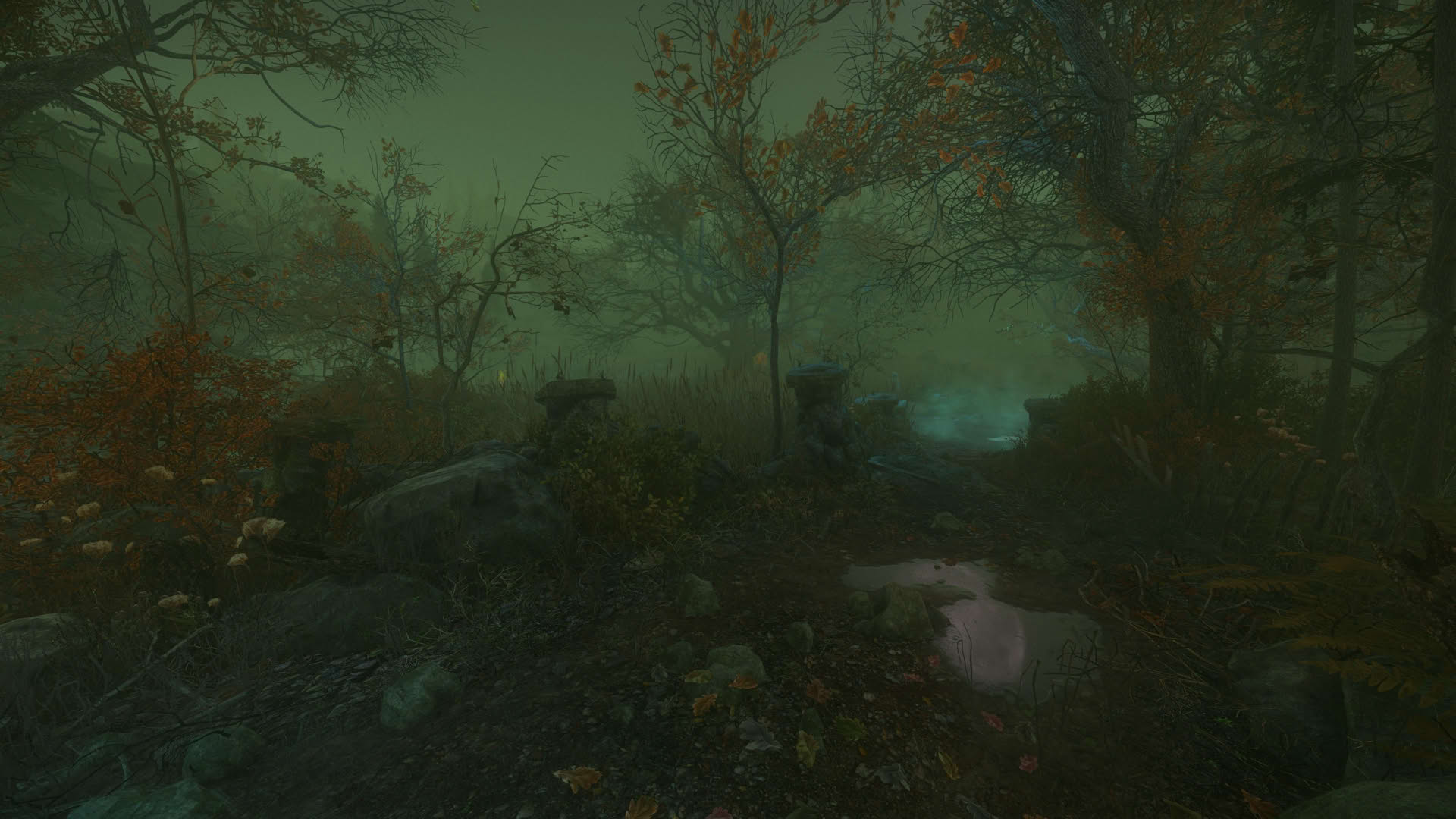 Screenshot for The Cursed Forest