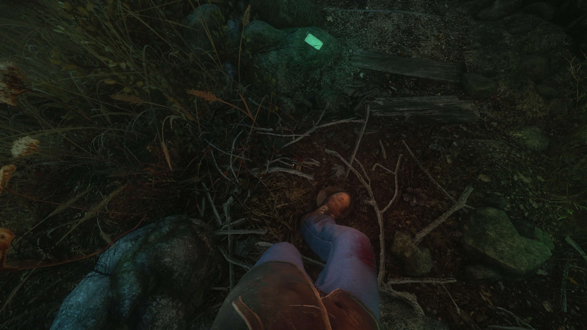 Screenshot for The Cursed Forest