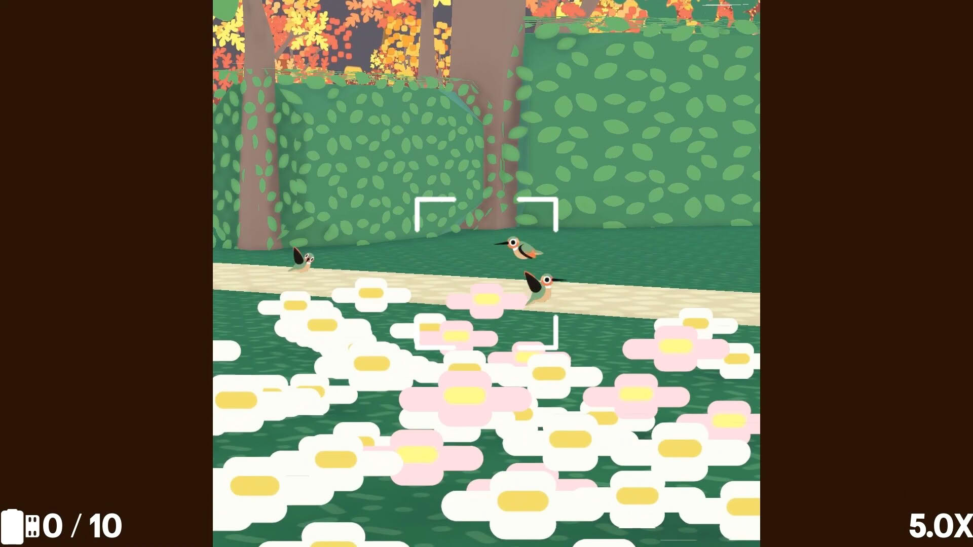 Screenshot for Flock Around