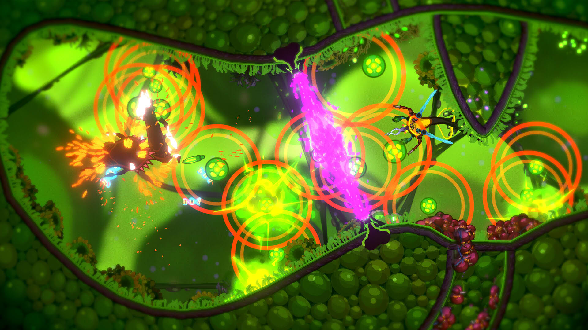 Screenshot for Pathogenic