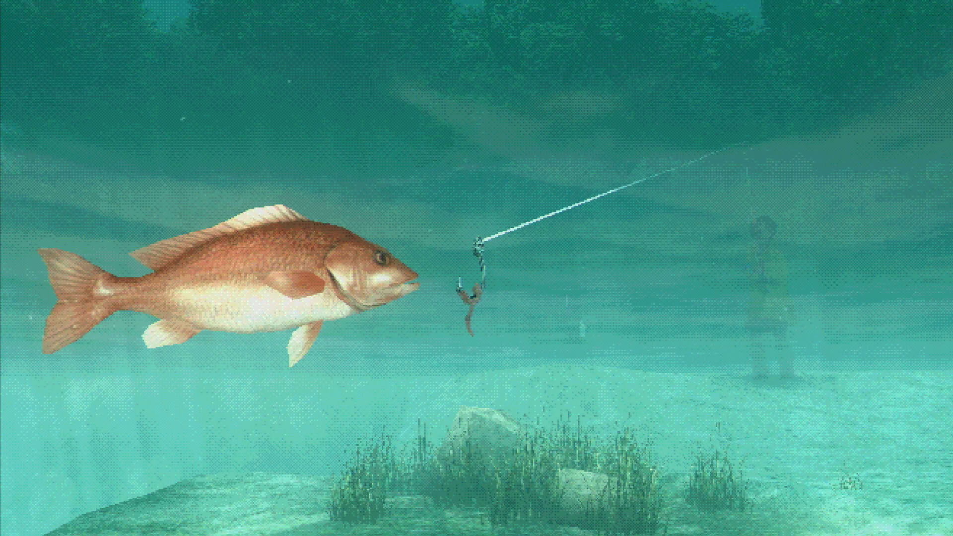 Screenshot for About Fishing