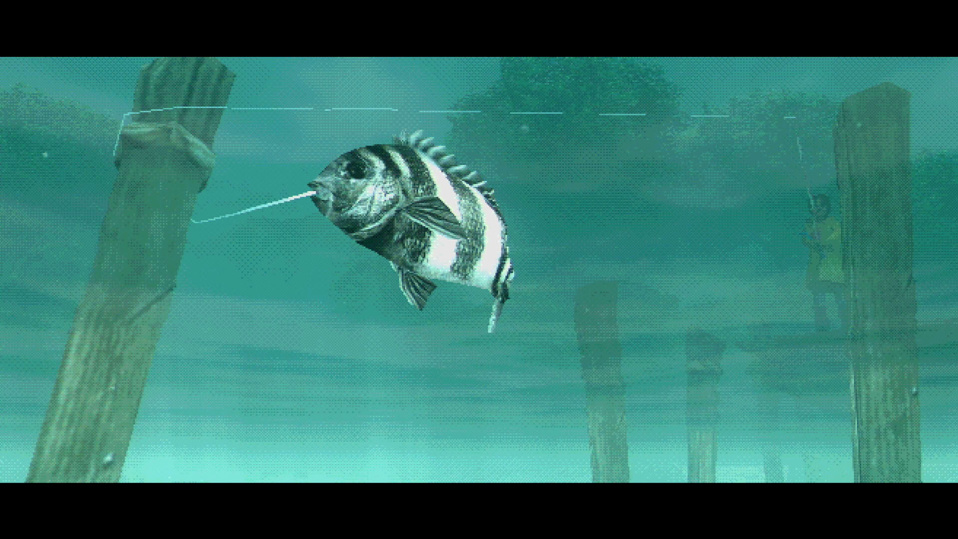 Screenshot for About Fishing