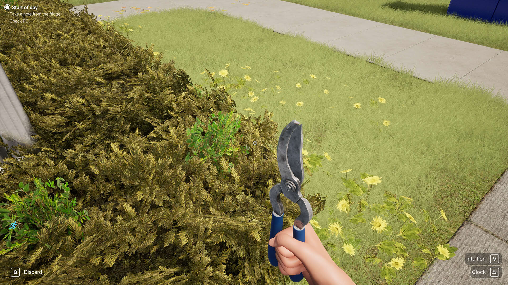 Screenshot for Woman Simulator