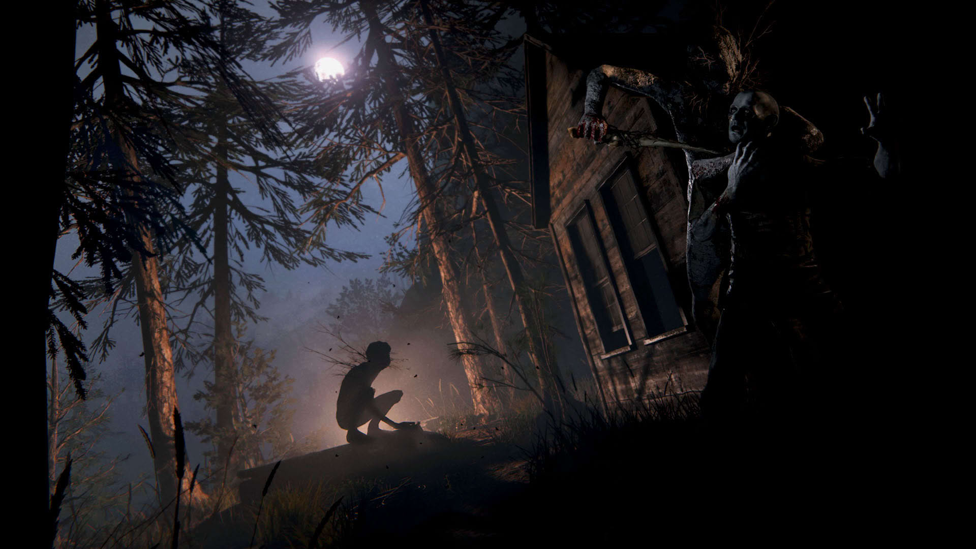Screenshot for Outlast II