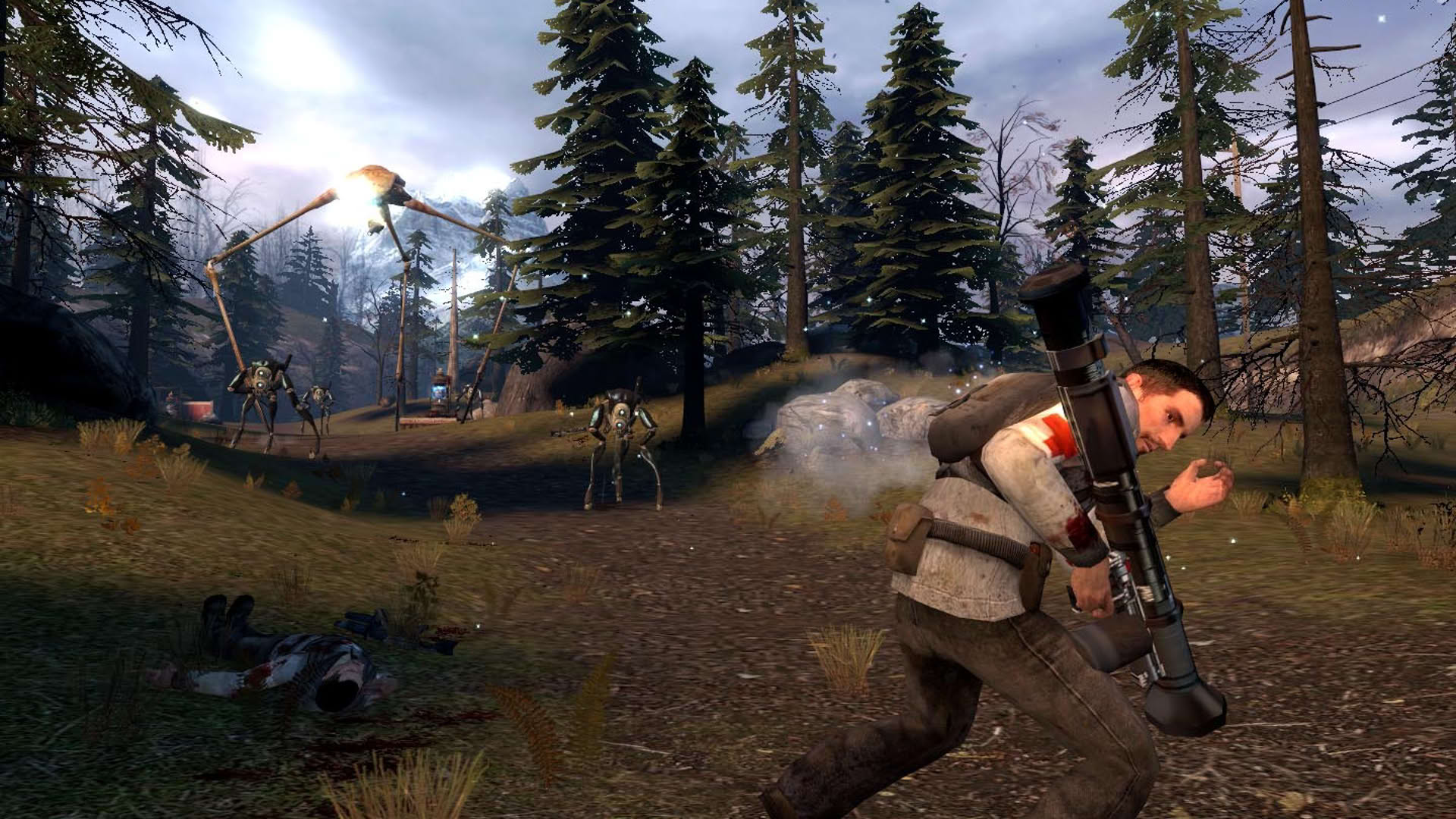 Screenshot for Half-Life 2